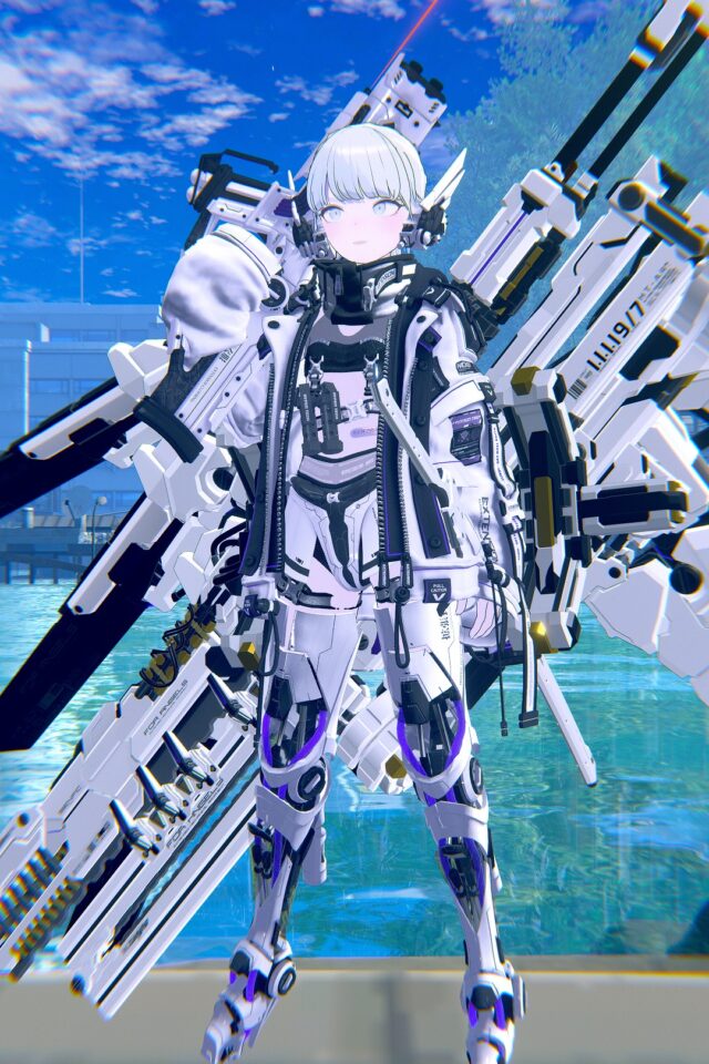 武装系女子(迎撃タイプ)